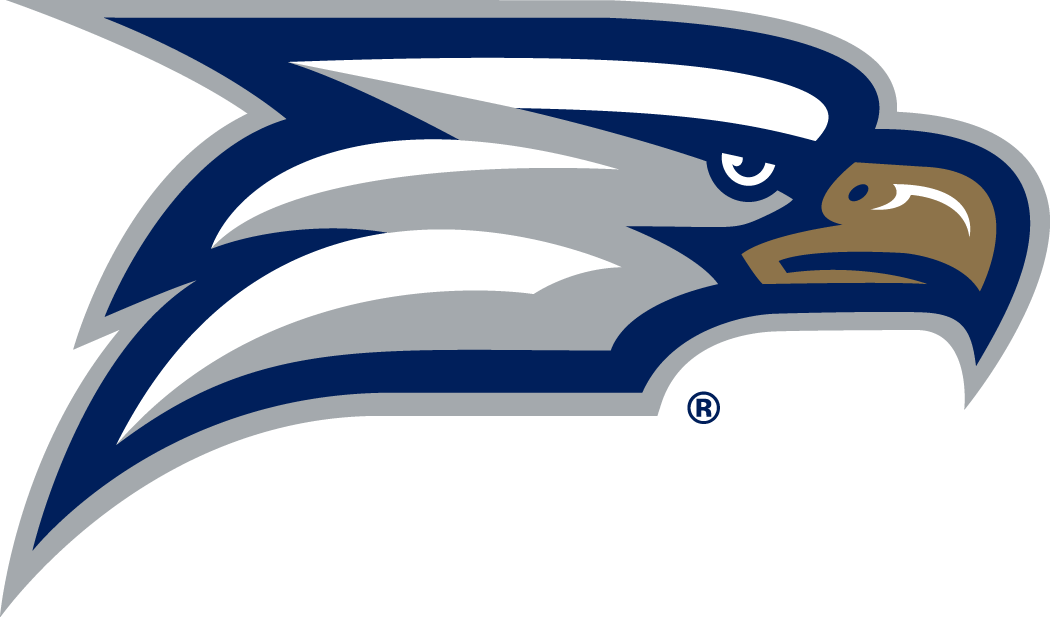 Georgia Southern Eagles 2010-Pres Secondary Logo iron on transfers for clothing